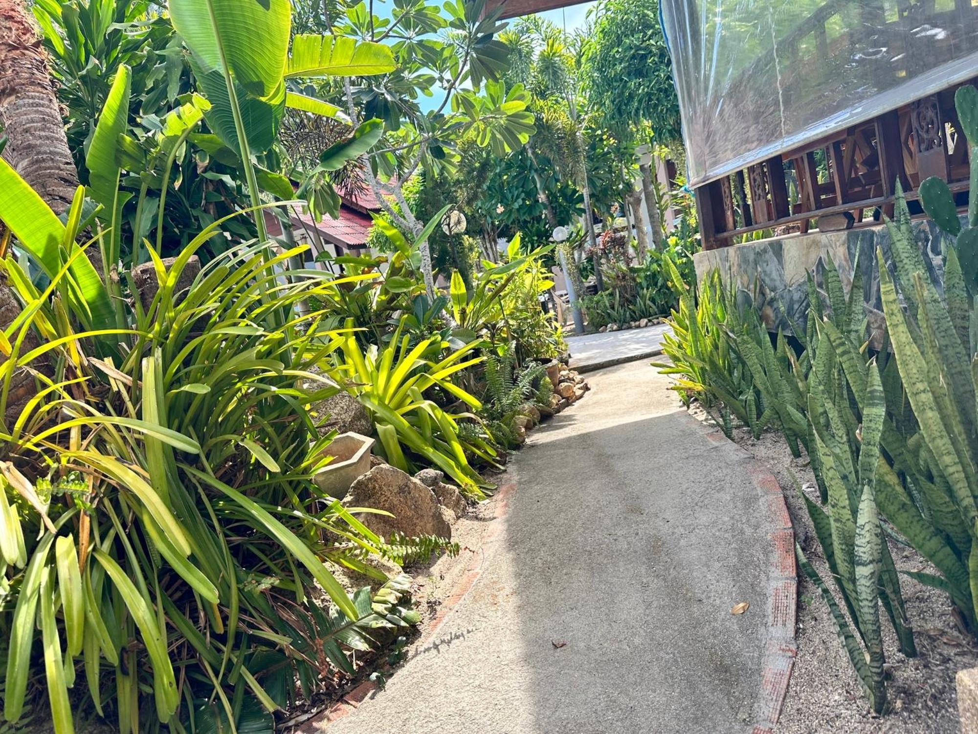 Phangan Lodge Baan Tai Exteriör bild